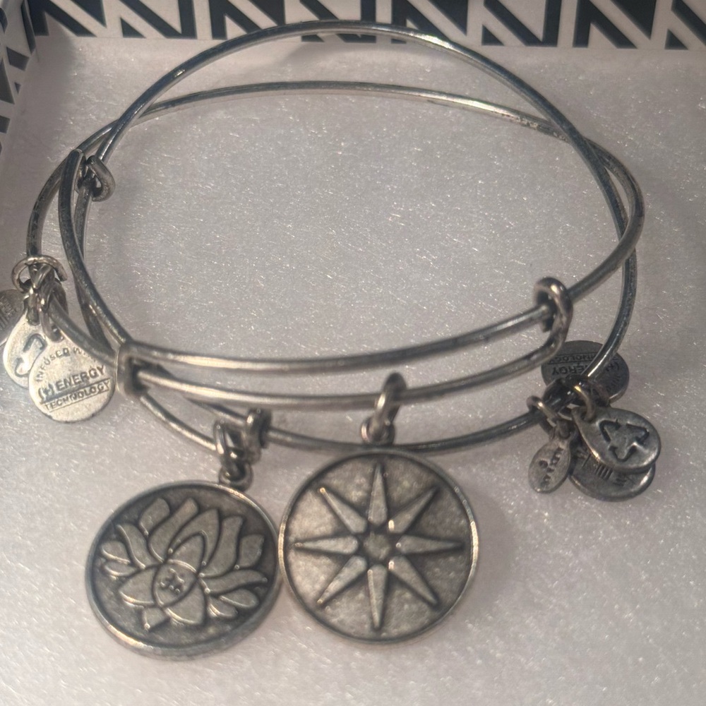 TWO ALEX AND ANI BANGLES